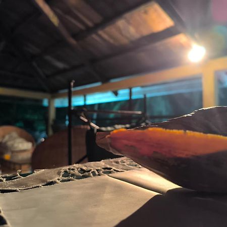 La Villa Lou, Musee Des Arts Grand Batangua 크리비 외부 사진